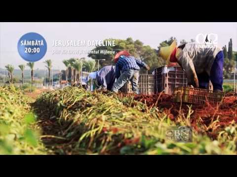 RECOMANDARE: Jerusalem Dateline 136 - 16 iulie 2016, ora 20, la Alfa Omega TV