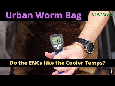 Urban Worm Bag V2 with ENCs - Cooler Temps! 01/04/2022
