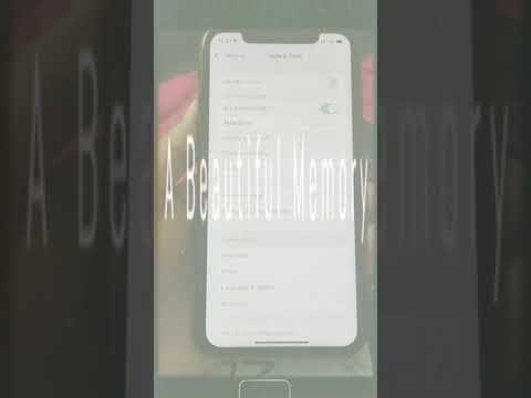 iOS 15.1 Developer beta 4 how to install using mobile data how to get any iphone iphone XR iphone 11