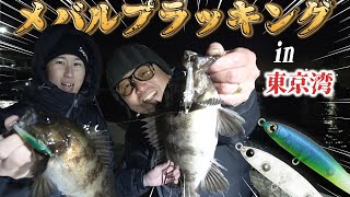 バスデイ株式会社