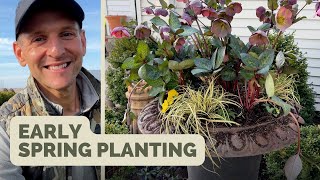 Potting a Spring Container, Fertilizing Routine for Boxwood & Hydrangeas | Gardening with Wyse Guide
