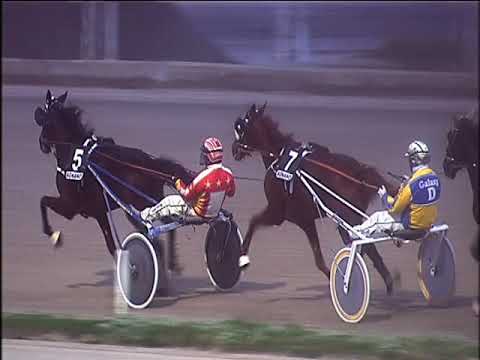 Trotto 13/12/2019 - 5ª corsa