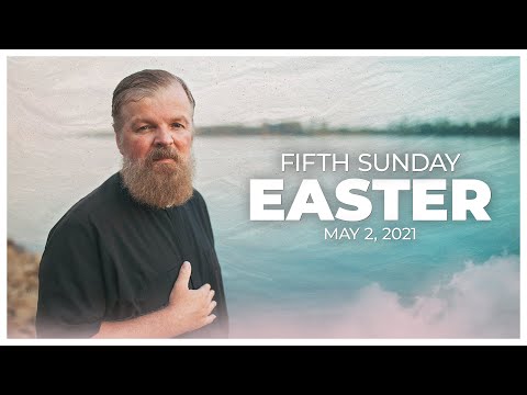 Weekend Reflection - Fifth Sunday of Easter