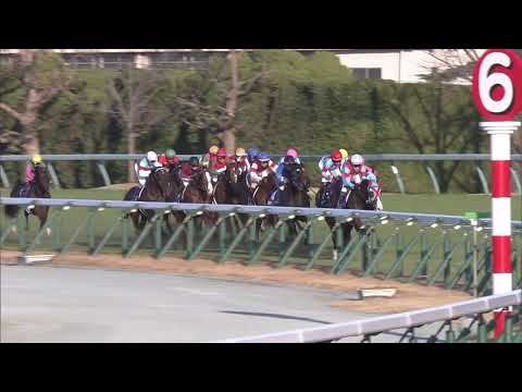 2019 Asahi Hai Futurity Stakes (G1)