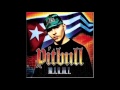 Pitbull - I Wonder (ft. Oobie) 