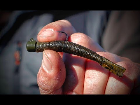 Ned Rigs: Gussy's Tips & Gear for Success (How-To)