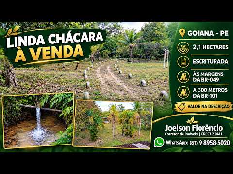 Chácara a venda em Goiana PE 2.1 hectares escritura as margens da PE 049 sentido as praias  