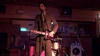 Eef Barzelay--Beard of Bees