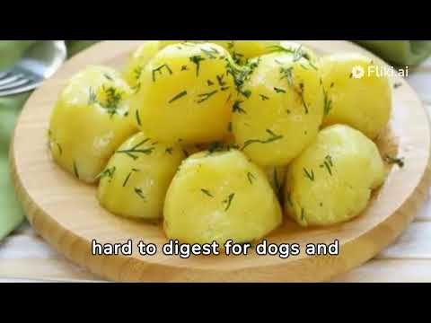 Can Dogs Eat Potatoes? | Essential Nutrition & Safety Guide