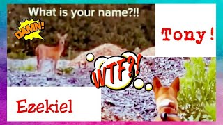 Download lagu F*UCK YOU TONY!! | What's your name?? Tony & Ezekiel | FULL VERSION Meme. #tony #tonyandezekiel mp3