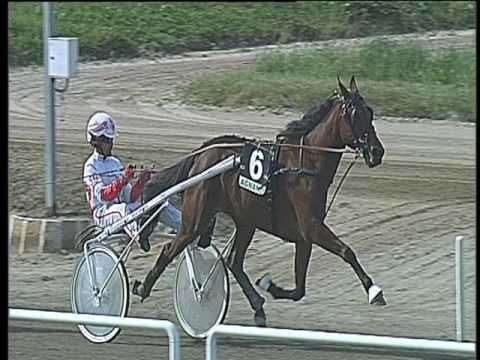 Trotto 07/04/2017 - 1ª corsa