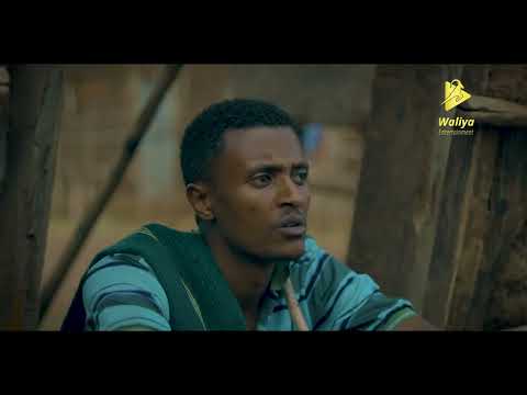 Beki4kilo X Ermias Fekadu   Shimunmune  ሽሙንሙኔ   New Ethiopian Music 2024