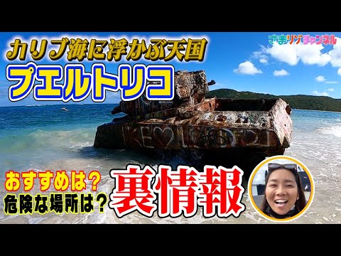 IUCN分類における絶滅の危険性を示す図。