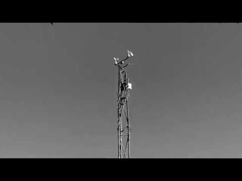 The Wild Places - Fear City - official.