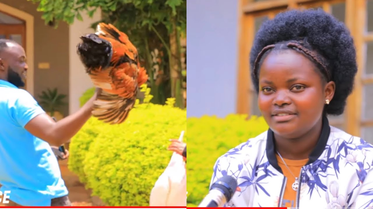 Wa mwana Wa Rubavu Uririmba bidasanzwe azaniye Inkoko M Irene  kirarize Disi