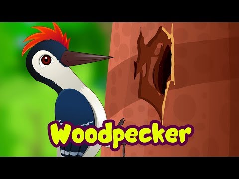 The Woodpecker Song | Bird Rhymes for Children | Infobells