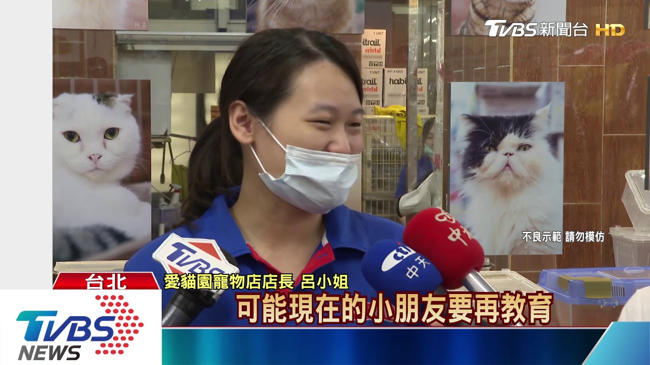 疑當球轉！女玩跑球失手重摔　黃金鼠不治