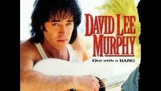 David Lee Murphy - Dust On The Bottle - cover