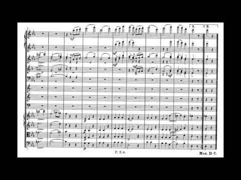 Franz Schubert: Symphony No. 4 in C minor "Tragische" D. 417 (1816)