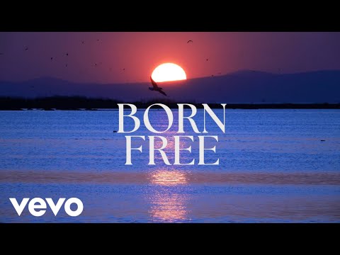 Aidil Amri - Born Free (Official Lyric Video)