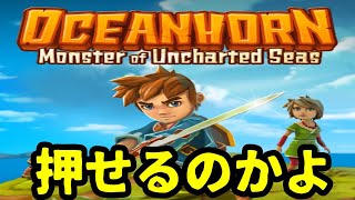 オーシャンホーン （6）