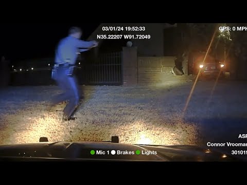 Perp Drives Through Brick Wall During High Speed Chase