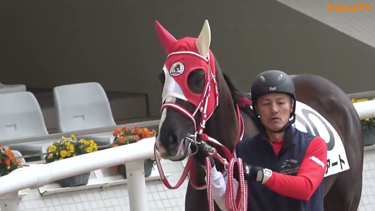 【母はリスグラシュー】ジリアートデビュー戦パドックの様子