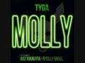 Molly - Tyga Ft. Wiz Khalifa & Mally Mall 