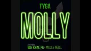 Molly - Tyga Ft. Wiz Khalifa &amp; Mally Mall