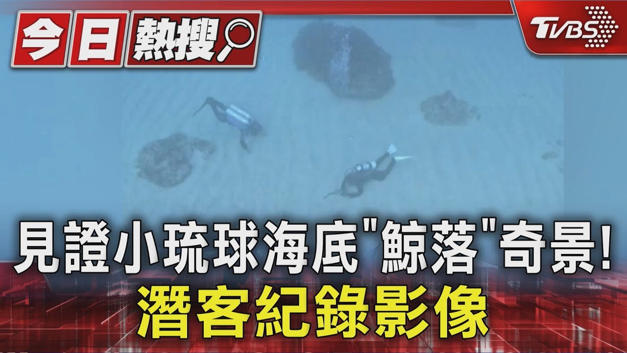 獨/見證小琉球海底「鯨落」奇景! 潛客影像全紀錄