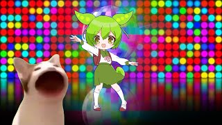 猫ミームと踊るずんだもん