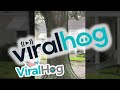 Tree Starts to Split During Hurricane Ida || ViralHog