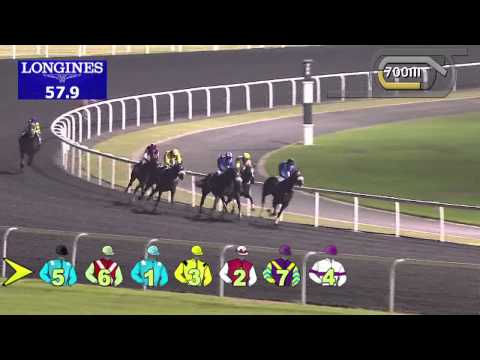 21.11.2013 Meydan (Dubai-UAE) 3.Race DUBAL Excellence Trophy - Conditions 1.600 m