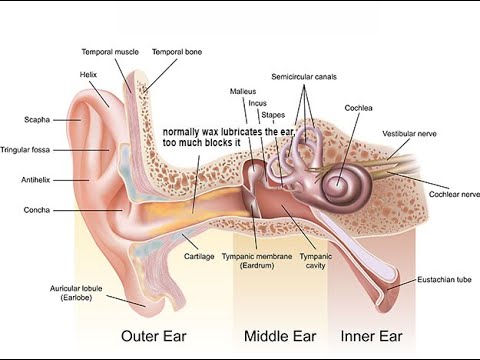 Private GP MicroSuction Ear Wax Removal in Bristol.