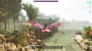 ARK ASA