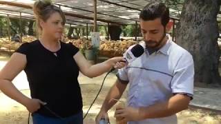 Watch as Danny Shows You How to Cut Open Your Gourds!