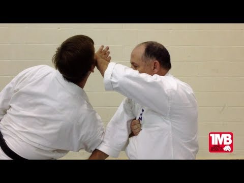 One Minute Bunkai: Wansu Sho #1