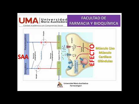 Farmacología: Fundamentos del Sistema Nervioso Autónomo