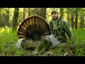 SWAMP Gobblers Public Land Turkey Hunting
