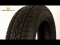 Osobní pneumatika Dunlop SP Winter Sport 3D 205/55 R16 91T