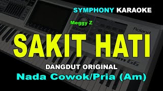 Download lagu SAKIT HATI KARAOKE NADA COWOK/PRIA | Meggy Z mp3