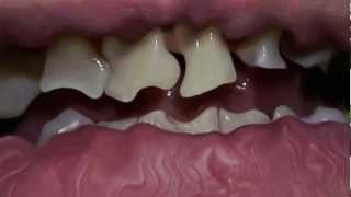 Primus HOINFODAMAN music video - contest submission