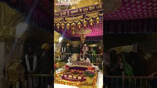 Download lagu New Video |Good Morning WhatsApp Status | #dharmikgoodmorning #shorts @satshriakaal mp3 Download lagu New Video |Good Morning WhatsApp Status | #dharmikgoodmorning #shorts @satshriakaal mp3