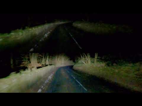 Lazer Lamps Sentinel