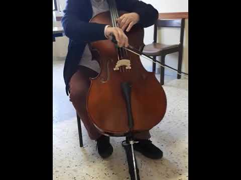 Italian Rant Cello Italian Cello | Reverb