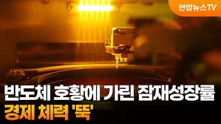 반도체 호황에 가린 잠재성장률…경제 체력 '뚝' / 연합뉴스TV (YonhapnewsTV)