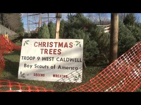 NJ West Caldwell Christmas Tree Lot & Boy Scouts Troop Nine