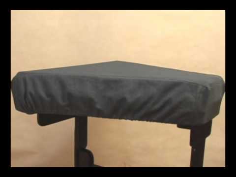 Cítara com Capa Cítara com Capa