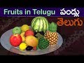 Fruits Names In English And Telugu Pandlu పండ్లు Learn Telugu Fruits Fruits Telugu Learn