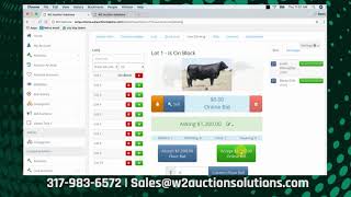 Live Auction Tutorial